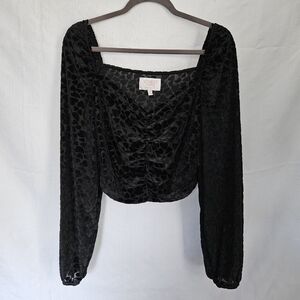Black Velvet Burnout Crop Top Size Xlarge